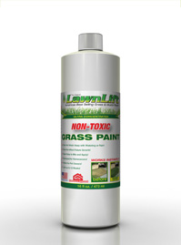 16 ounce bottle Lawn Paint