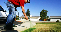 Man spraying lawn with lawn paint
